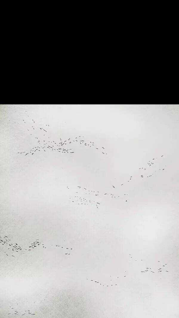 Distant Sky Chapter 33 trang 64