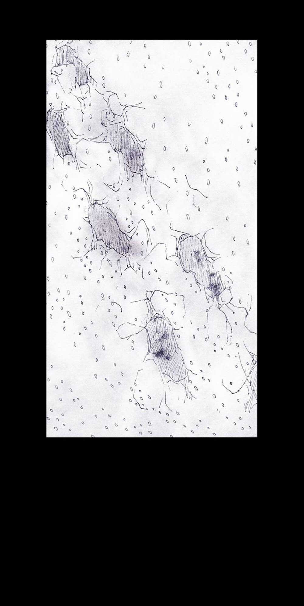 Distant Sky Chapter 54 trang 65