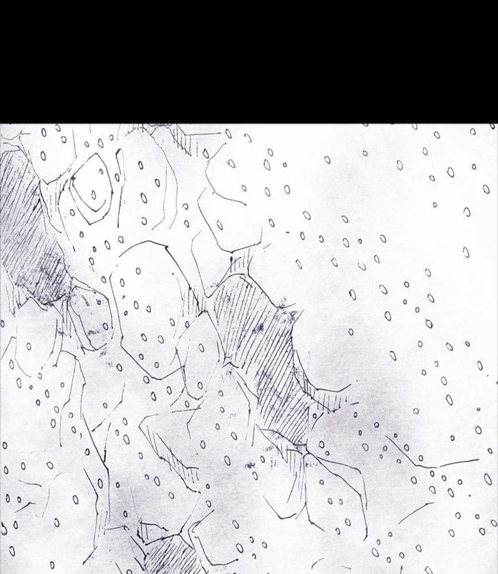 Distant Sky Chapter 54 trang 66