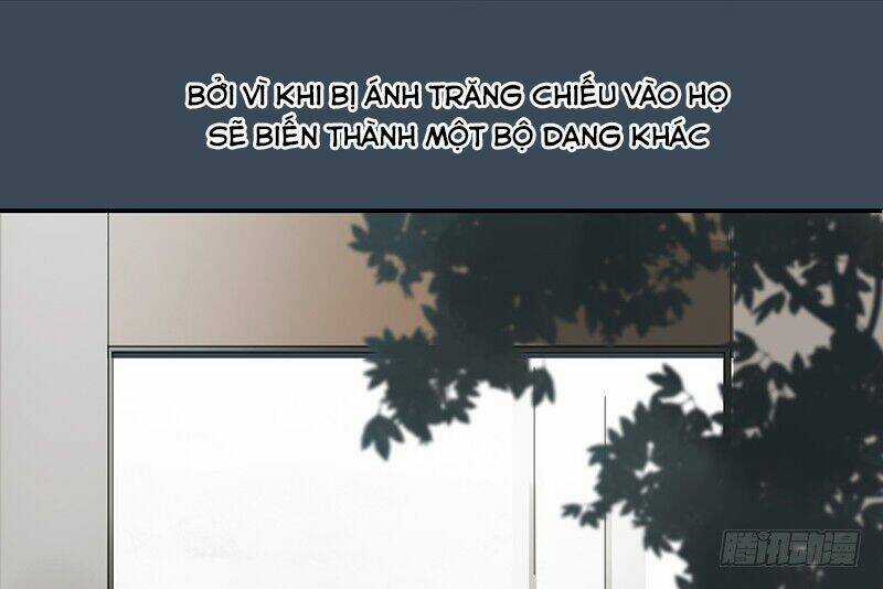 Đm Lỗi Của Định Mệnh Chapter 1 trang 7