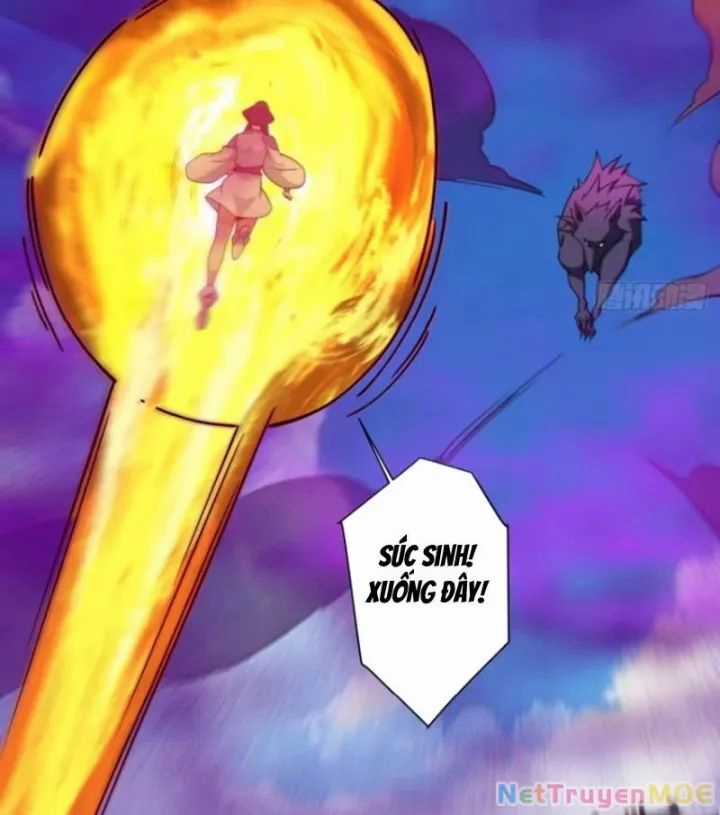 Đồ Đệ Của Ta Đều Là Đại Phản Phái Chapter 352 trang 14