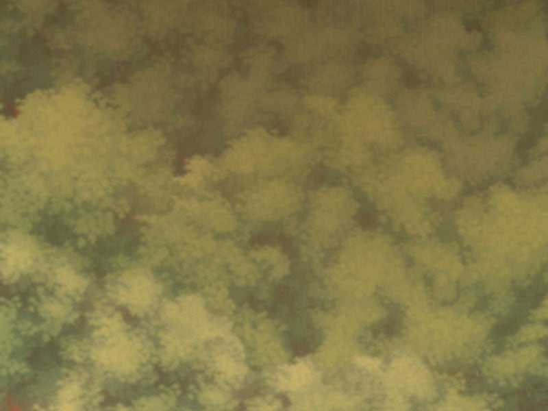 Đồ Đệ Của Ta Đều Là Đại Yêu Vô Địch Món quà ý nghĩa nhất cho người thân yêu Chapter 19 trang 39