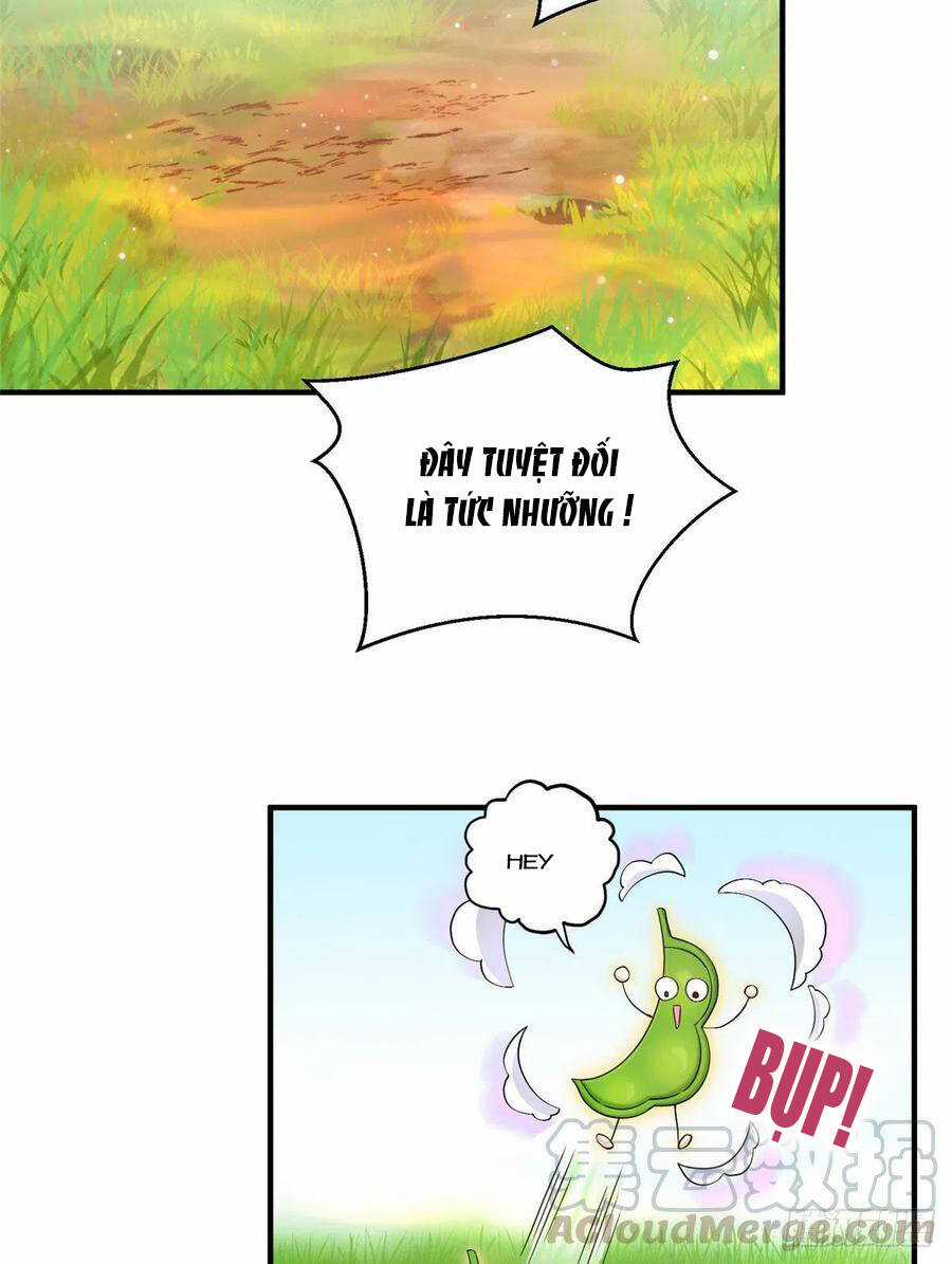 Đồ Đệ Nhà Ta Lại Quải Rồi Chapter 315 trang 2