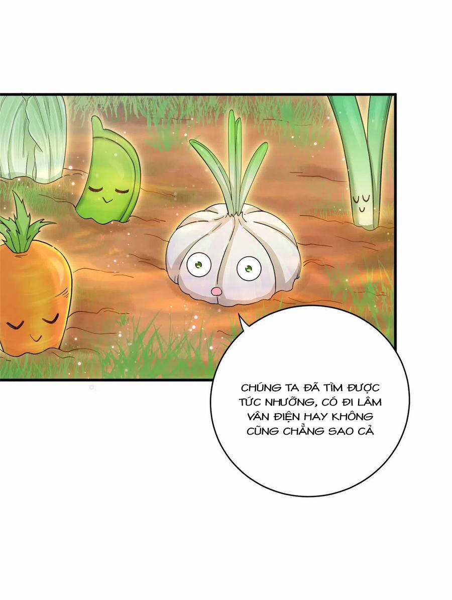 Đồ Đệ Nhà Ta Lại Quải Rồi Chapter 315 trang 6