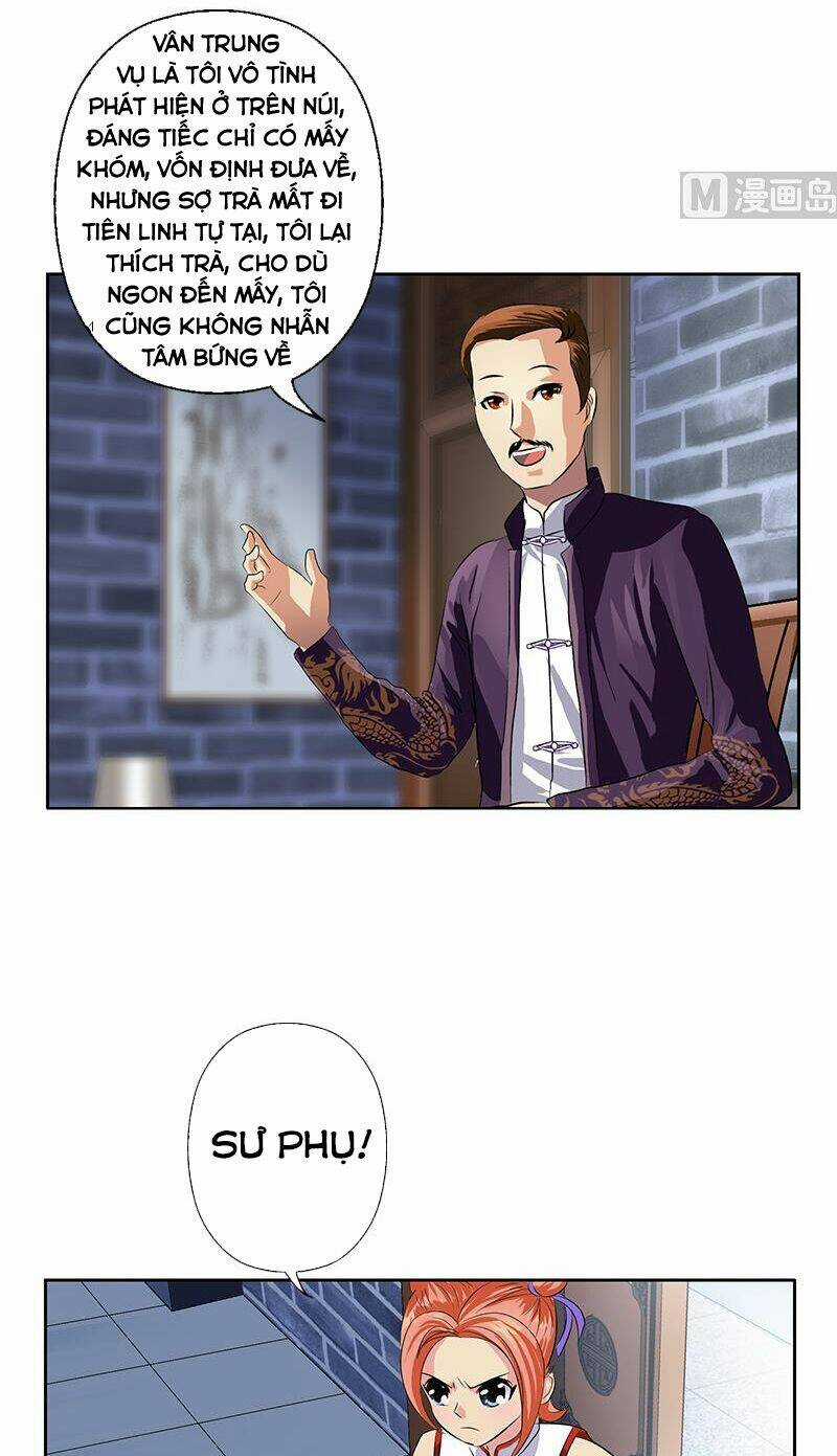 Đô Thị Cực Phẩm Y Tiên Chapter 377 trang 13