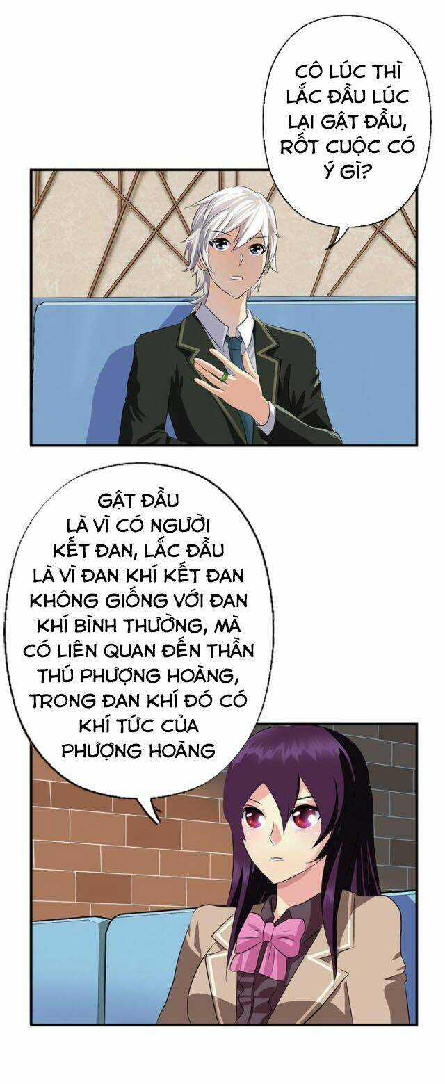 Đô Thị Cực Phẩm Y Tiên Chapter 386 trang 10