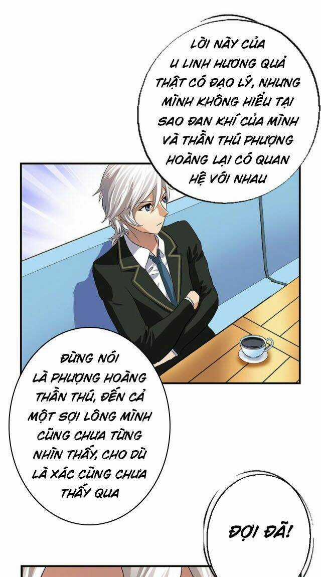 Đô Thị Cực Phẩm Y Tiên Chapter 386 trang 12