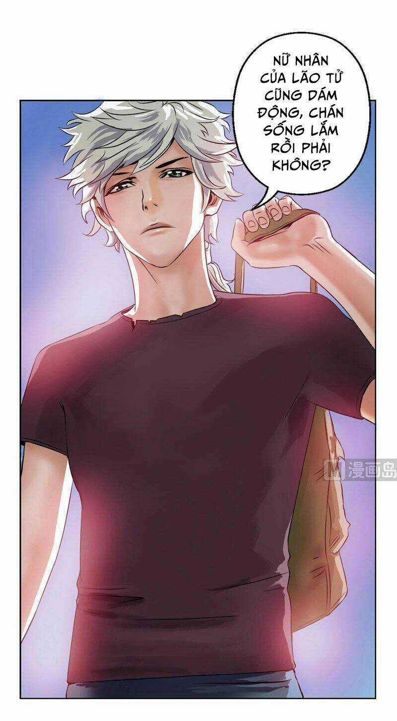 Đô Thị Cực Phẩm Y Tiên Chapter 5 trang 19