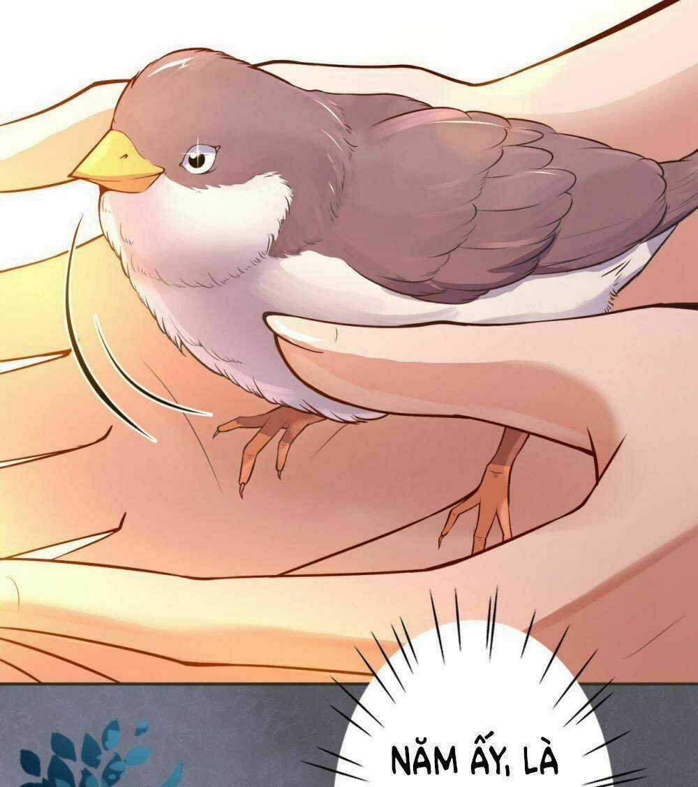 Đô Thị Hộ Hoa Tiên Tôn Chapter 1 trang 81