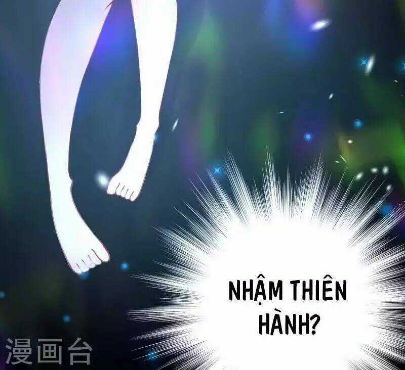 Đô Thị Hộ Hoa Tiên Tôn Chapter 28 trang 28