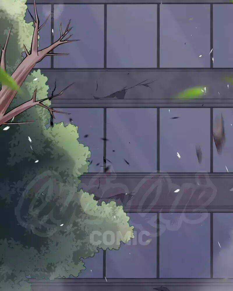 Đô Thị Hộ Hoa Tiên Tôn Chapter 33 trang 24