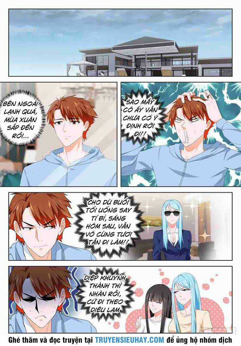 Đô Thị Kiêu Hùng Hệ Thống Chapter 141 trang 8