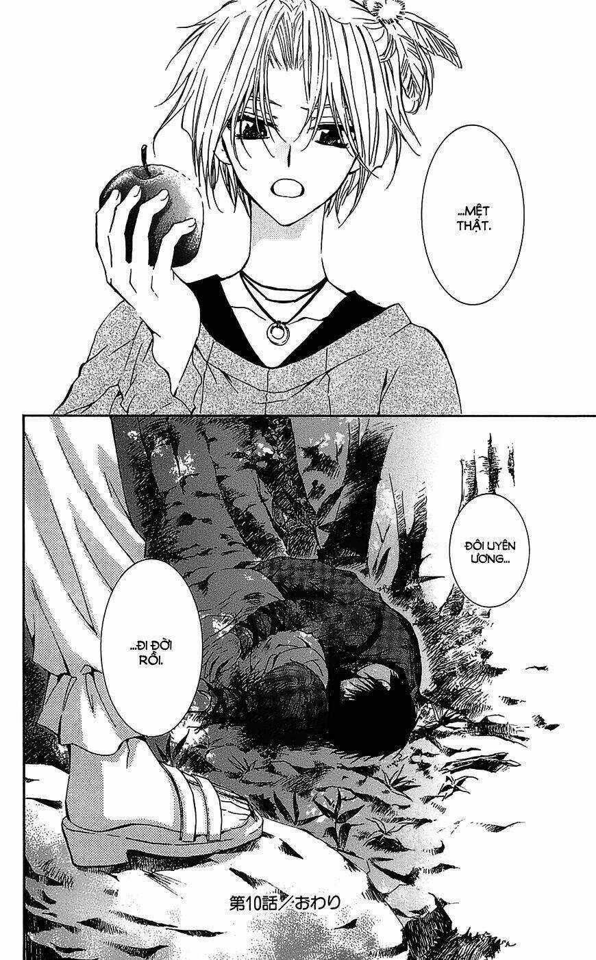 Đóa Hoa Bùng Cháy Chapter 10 trang 14