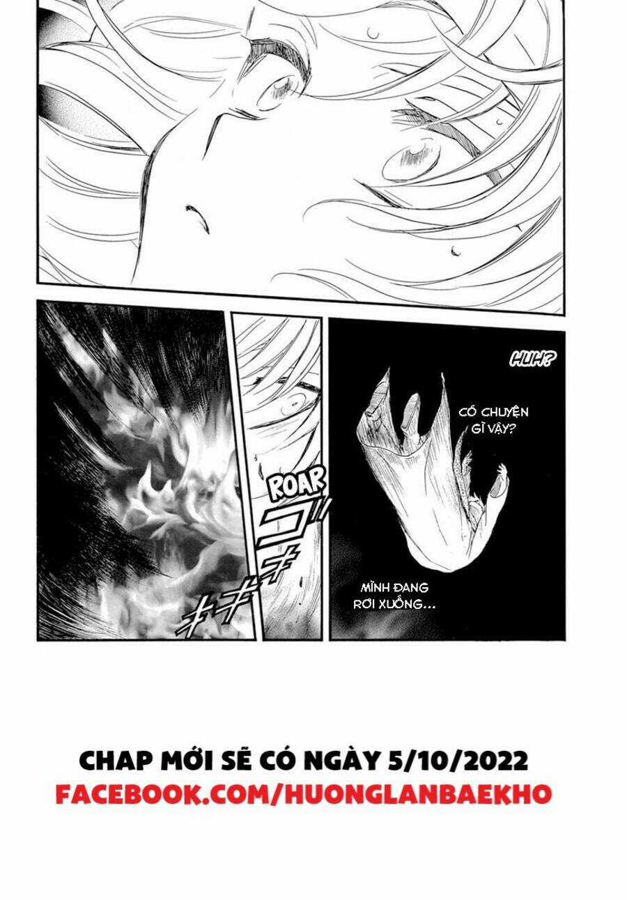 Đóa Hoa Bùng Cháy Chapter 231 trang 2