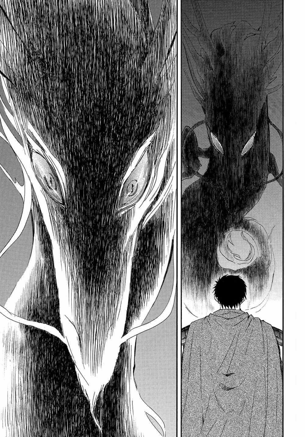 Đóa Hoa Bùng Cháy Chapter 248 trang 14