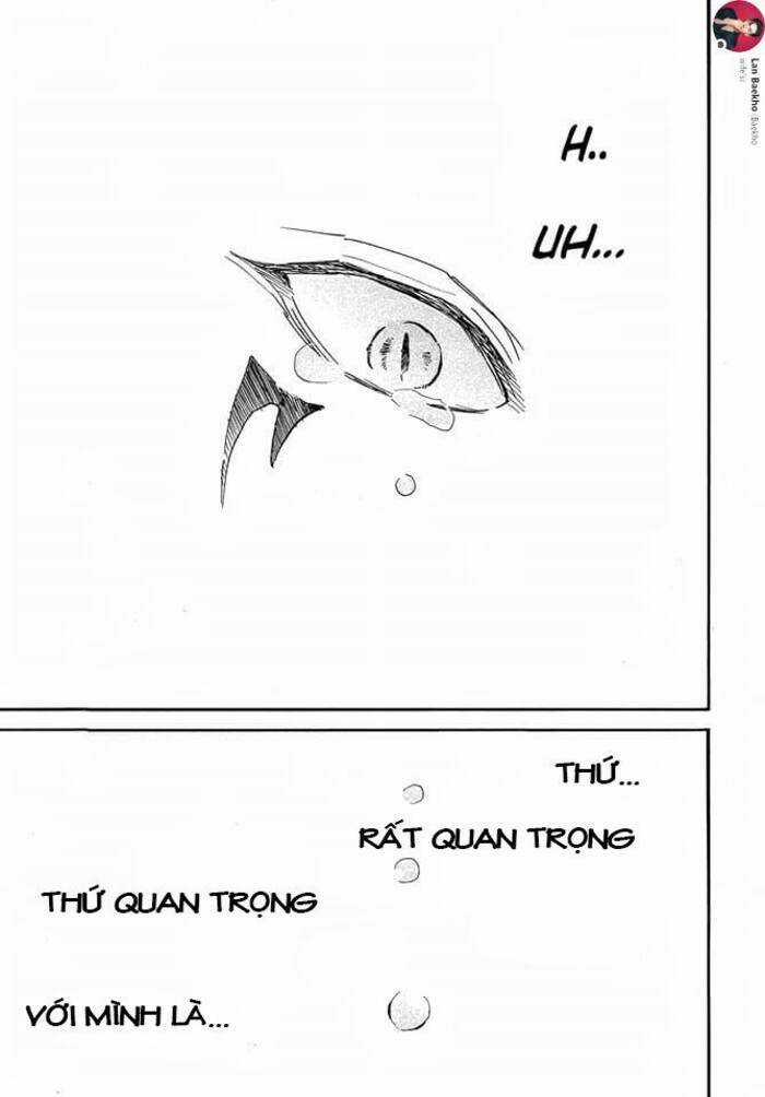 Đóa Hoa Bùng Cháy Chapter 249 trang 26