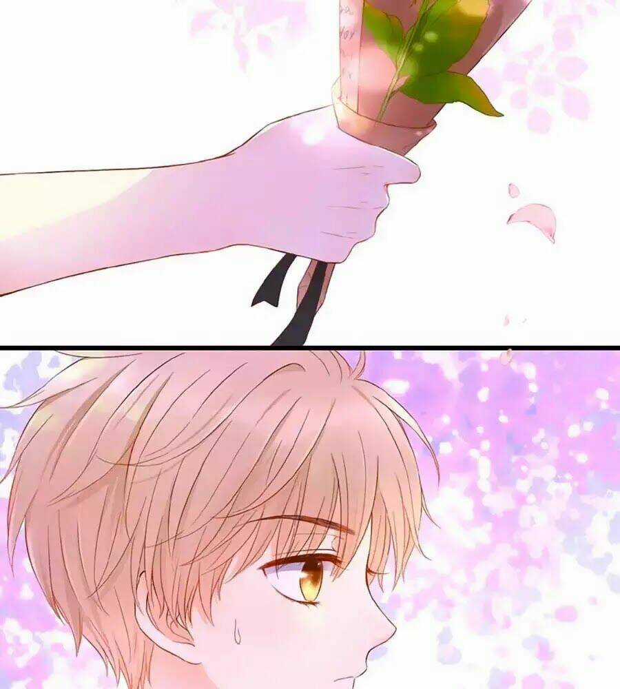 Đóa Hoa Chớm Nở Chapter 1 trang 3