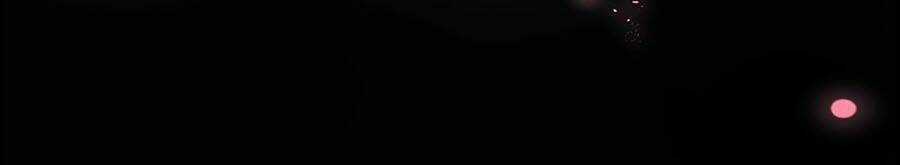 Đóa Hoa Chớm Nở Chapter 2 trang 42