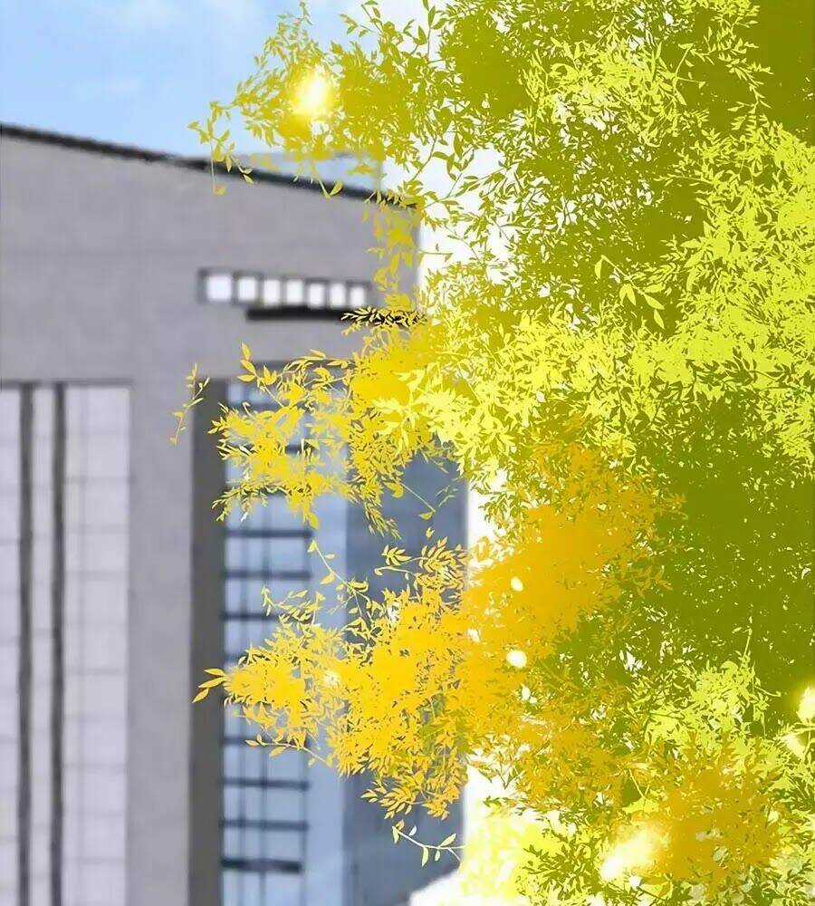 Đóa Hoa Chớm Nở Chapter 6 trang 12