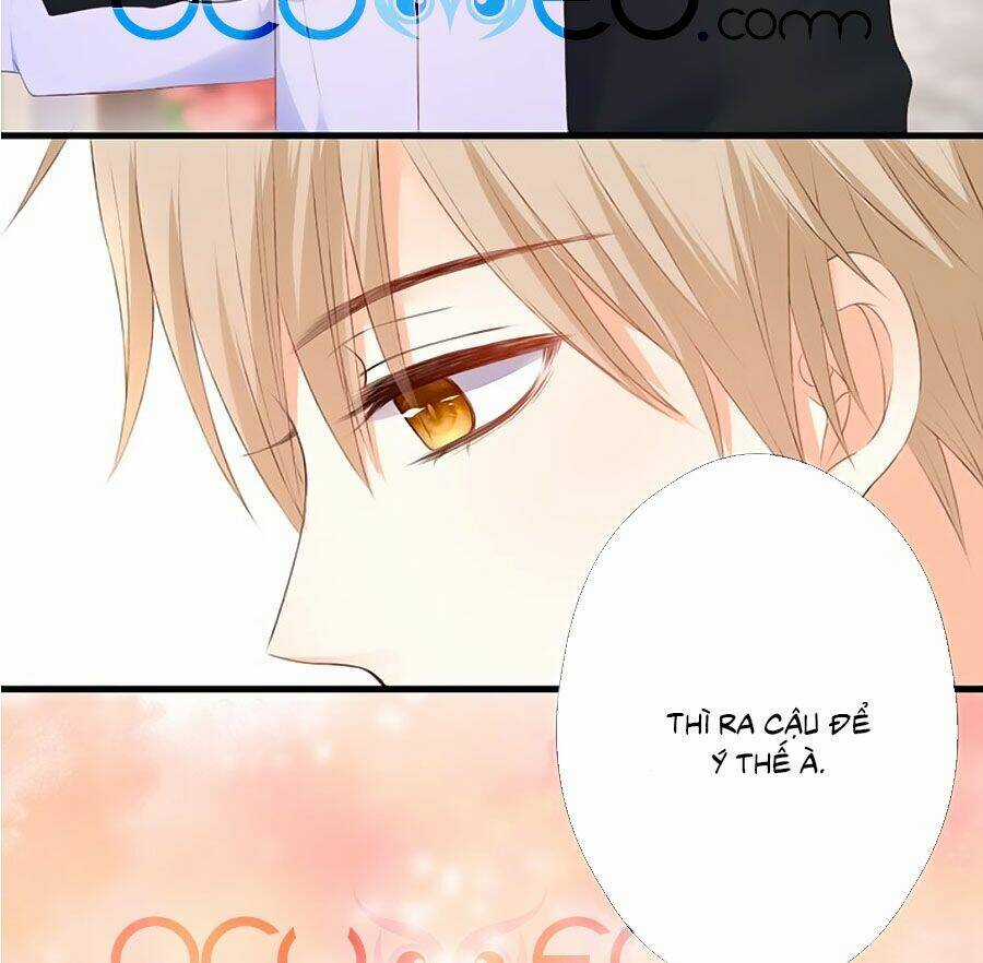 Đóa Hoa Chớm Nở Chapter 62 trang 23