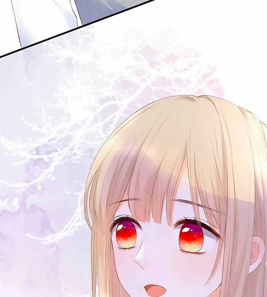 Đóa Hoa Chớm Nở Chapter 64 trang 4