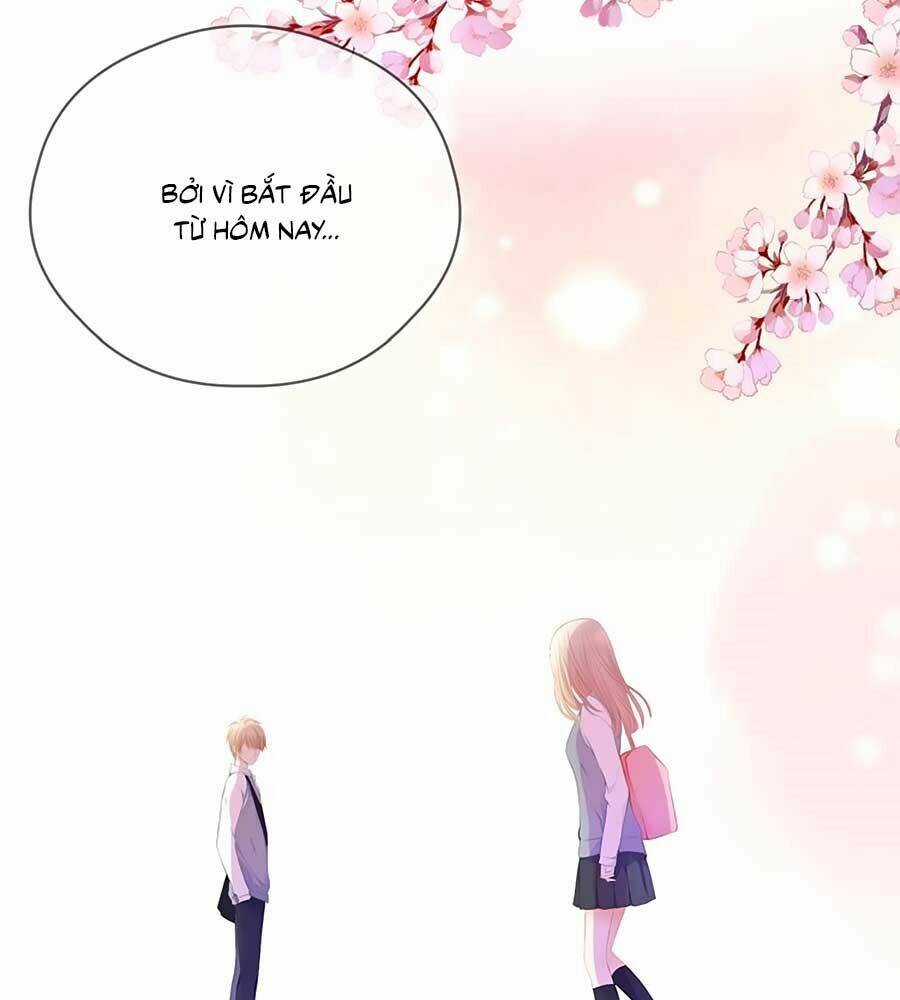 Đóa Hoa Chớm Nở Chapter 66 trang 3