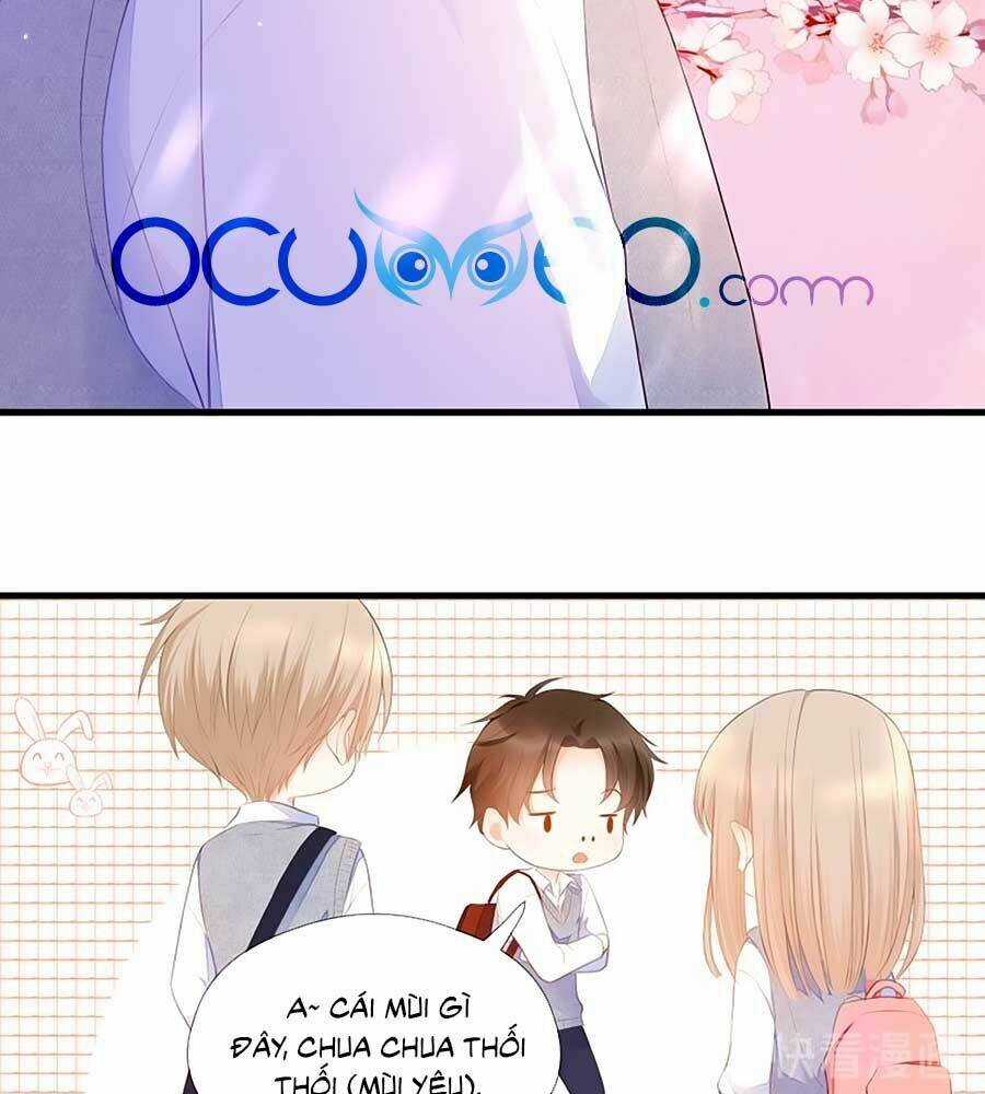 Đóa Hoa Chớm Nở Chapter 66 trang 6