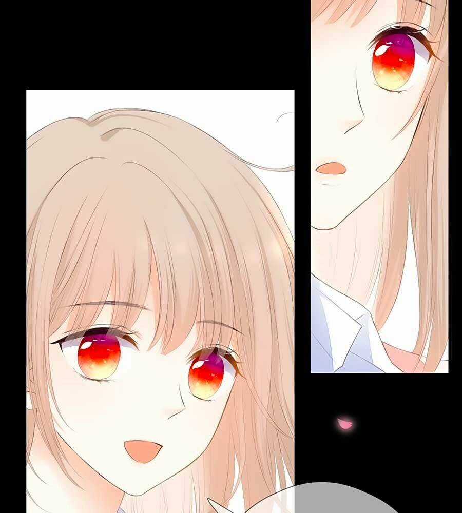 Đóa Hoa Chớm Nở Chapter 67 trang 47