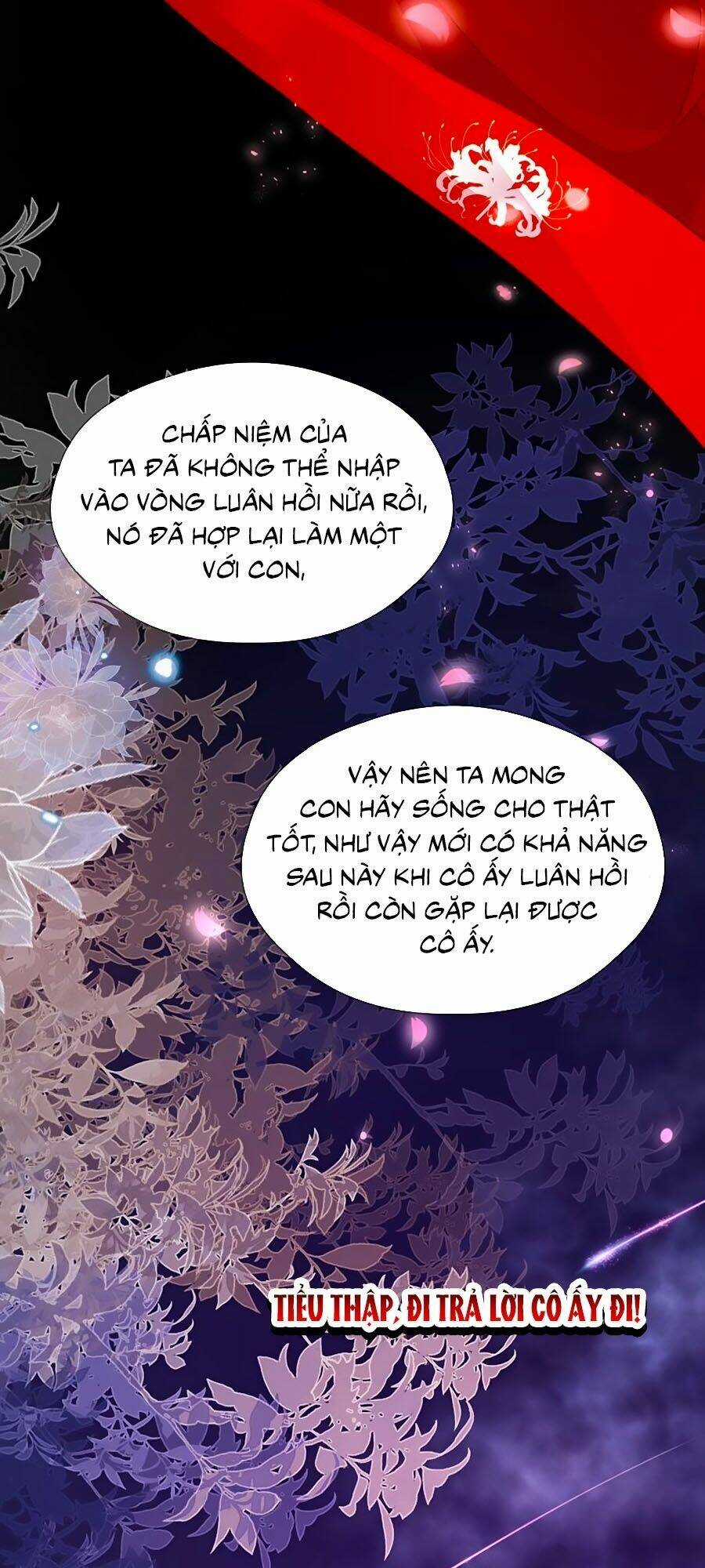 Đóa Hoa Chớm Nở Chapter 71 trang 26