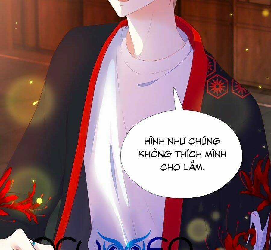 Đóa Hoa Chớm Nở Chapter 71 trang 6