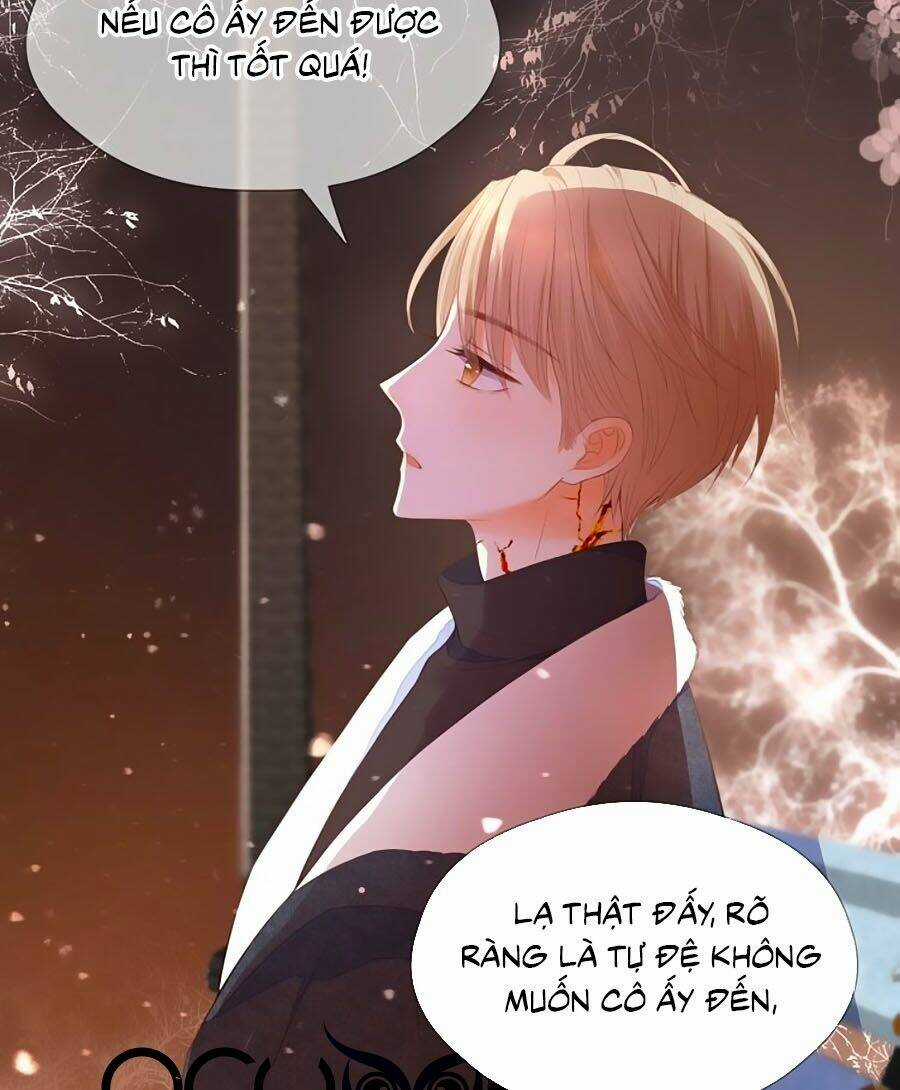 Đóa Hoa Chớm Nở Chapter 74 trang 4