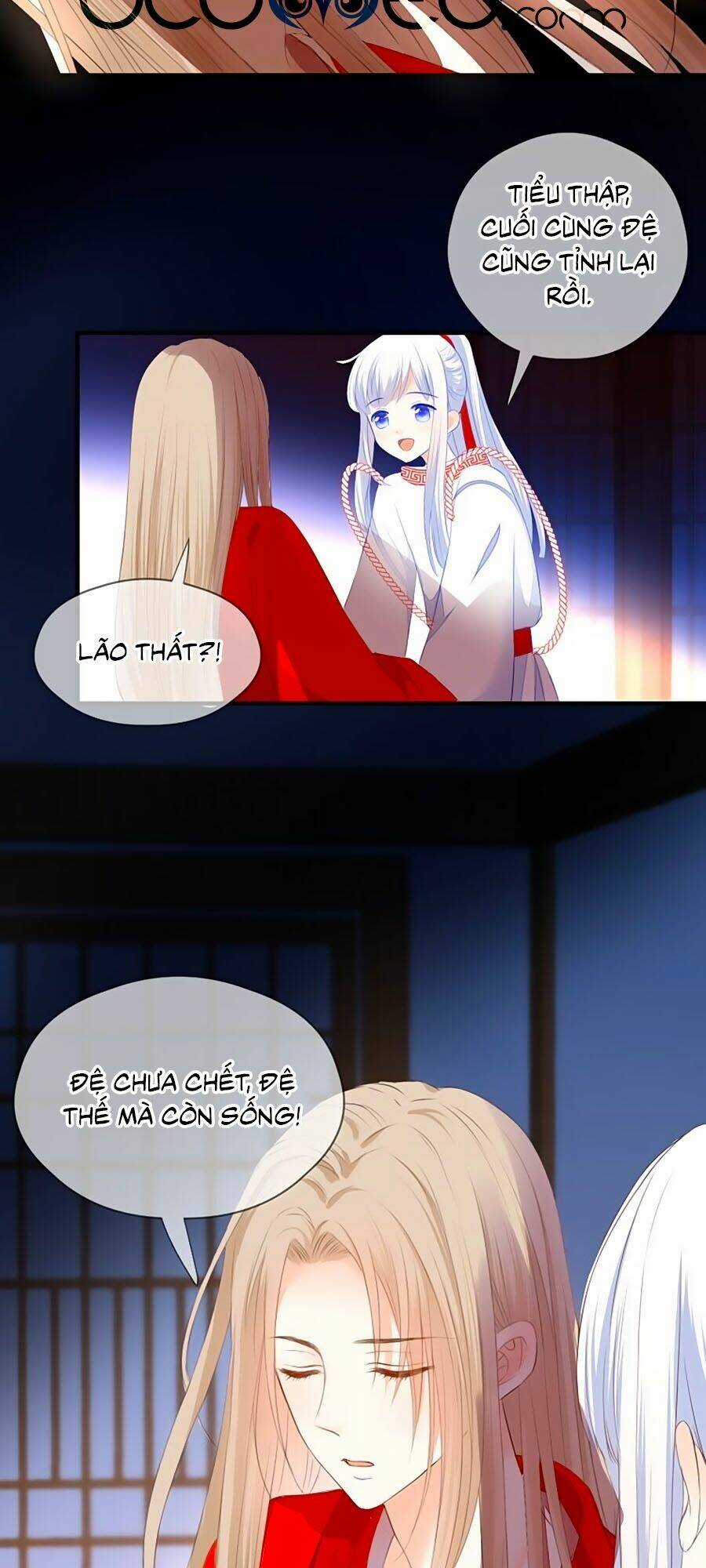 Đóa Hoa Chớm Nở Chapter 75 trang 2