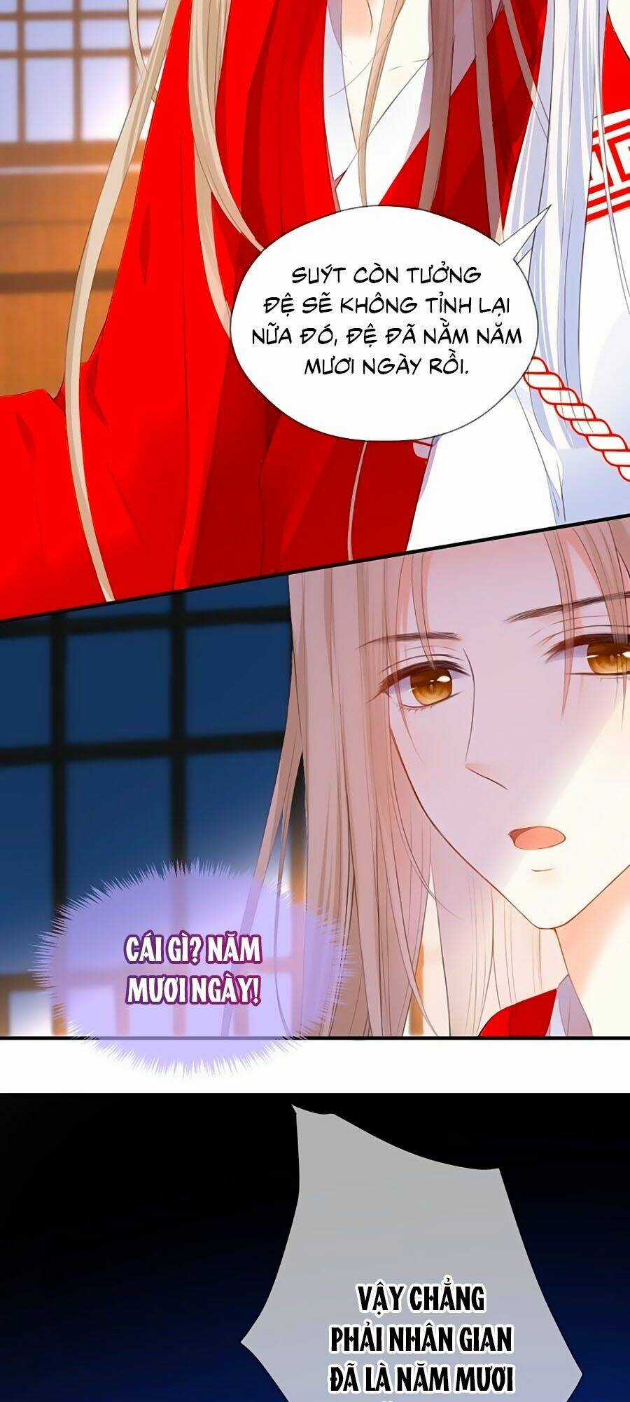 Đóa Hoa Chớm Nở Chapter 75 trang 3