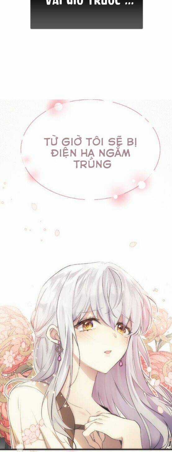 Đóa Hoa Điên Dại Nơi Cung Cấm Chapter 1 trang 25