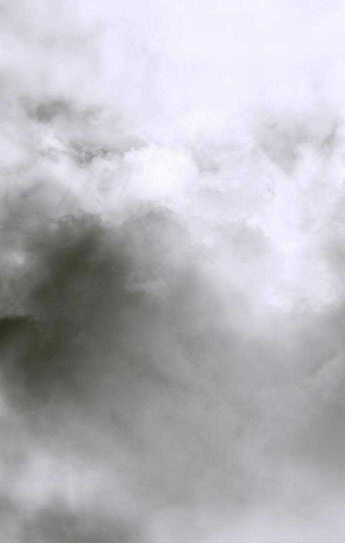 Đóa Hoa Điên Dại Nơi Cung Cấm Chapter 5 trang 2