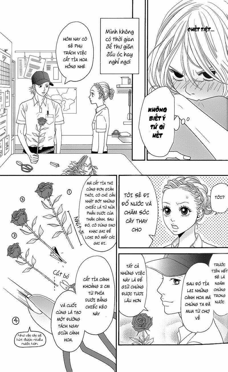 Đóa Hoa Năm Ấy Chapter 1 trang 17