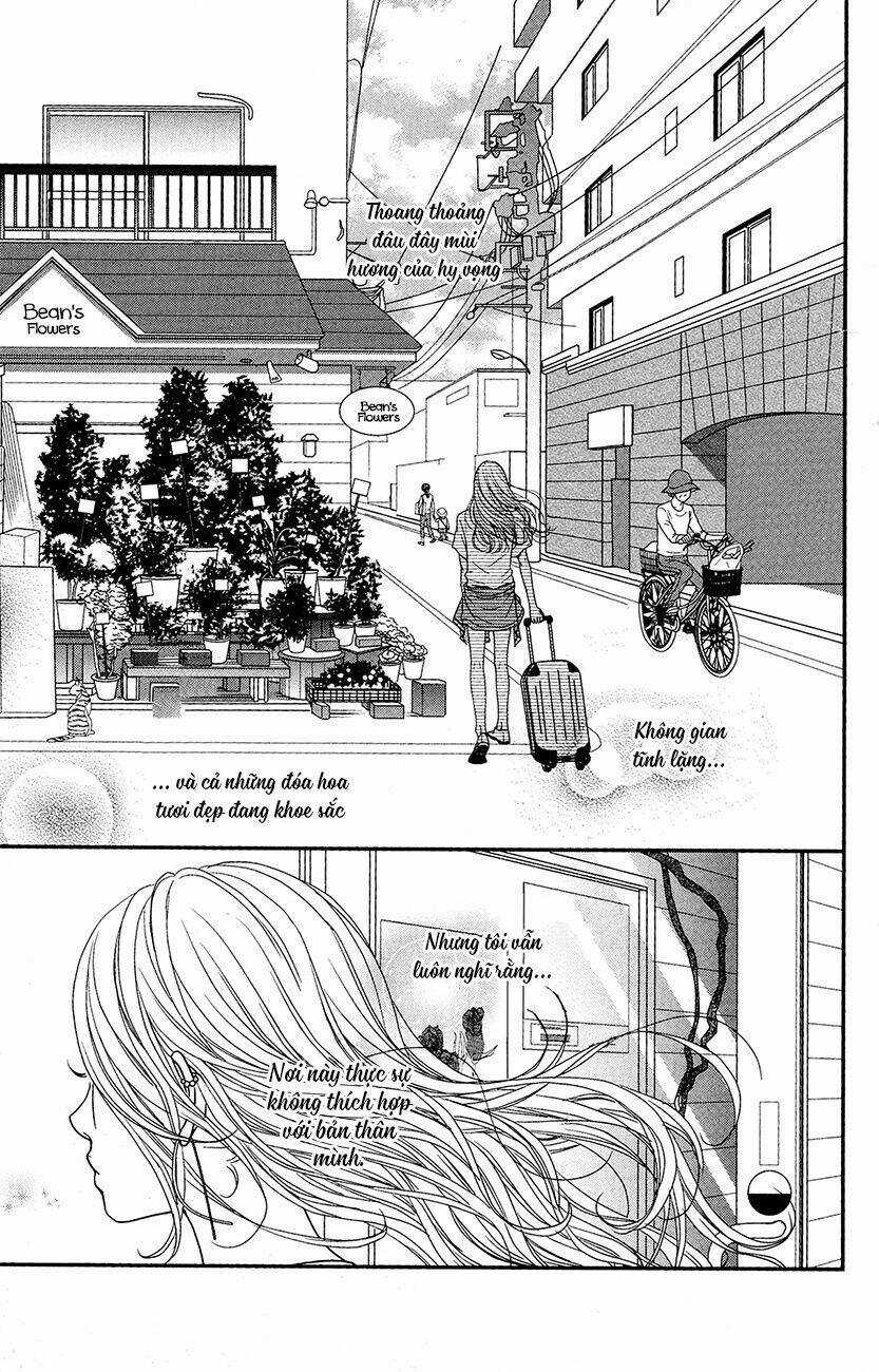 Đóa Hoa Năm Ấy Chapter 1 trang 4