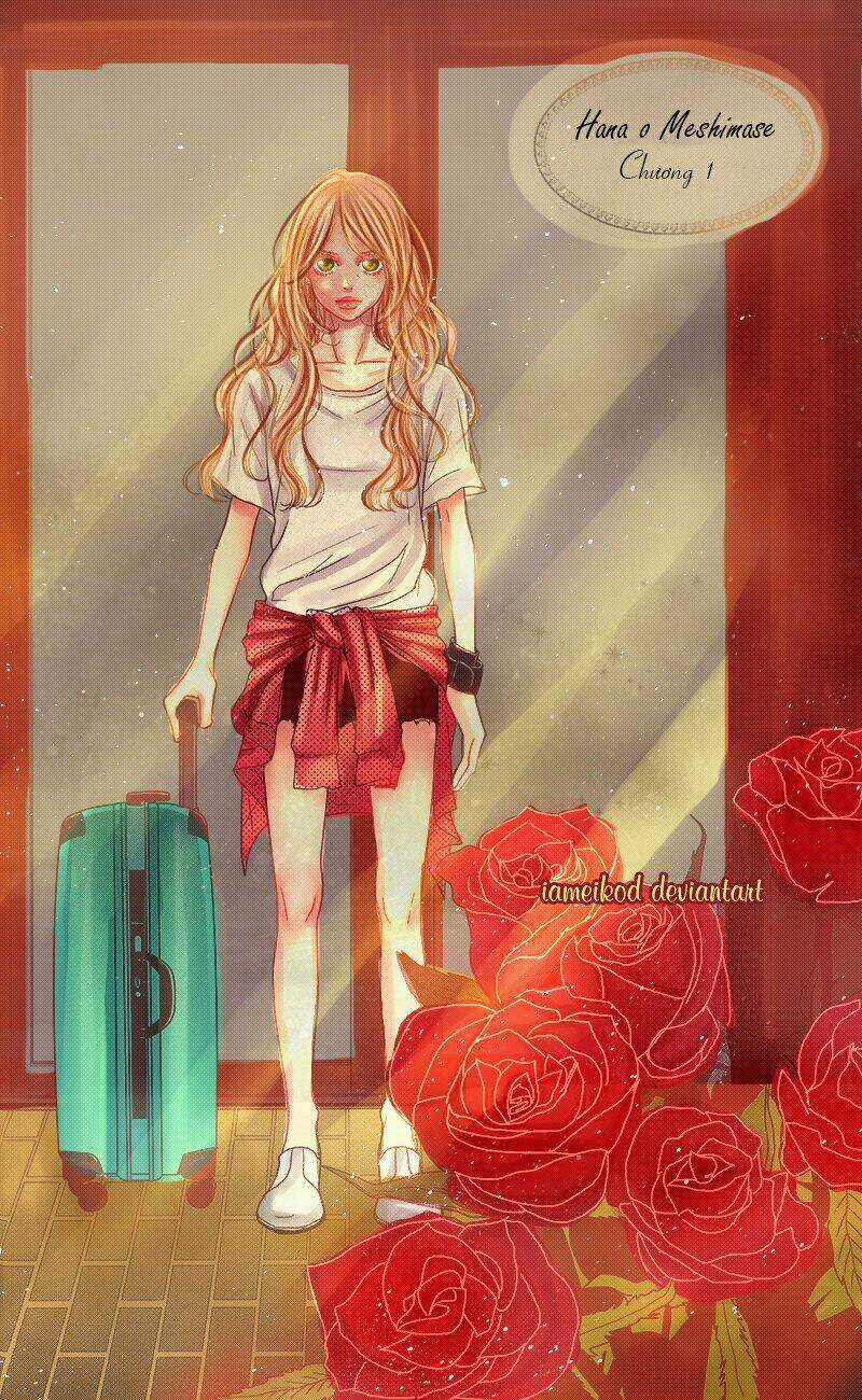 Đóa Hoa Năm Ấy Chapter 1 trang 5