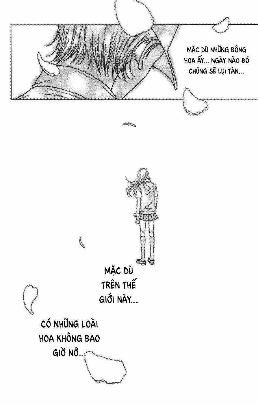 Đóa Hoa Năm Ấy Chapter 3 trang 44