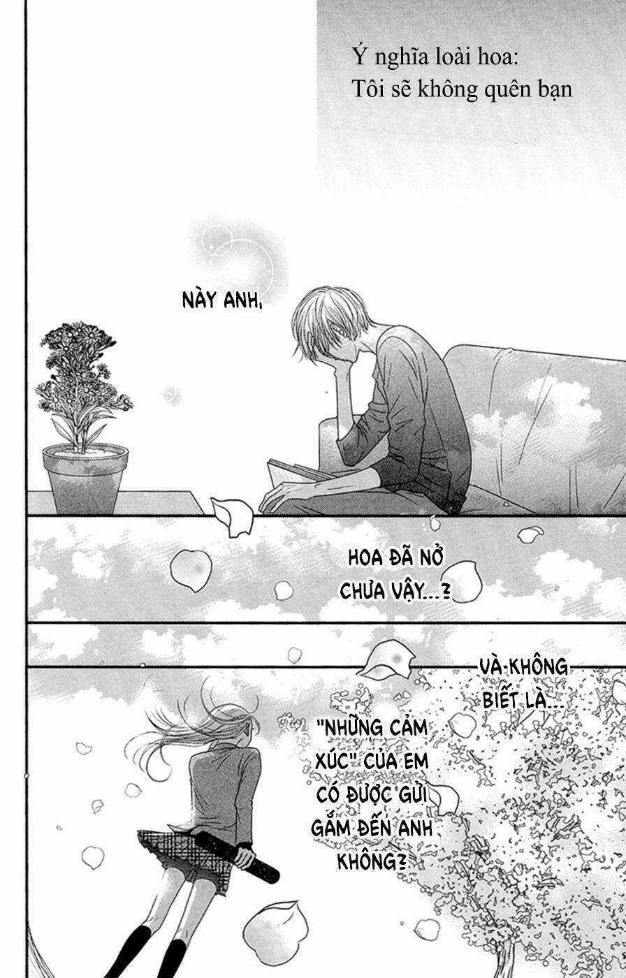 Đóa Hoa Năm Ấy Chapter 4 trang 54