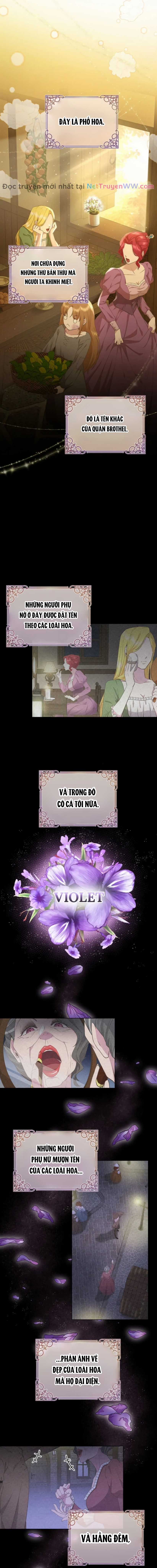 Đoá Violet nở rộ phía sau vườn Chapter 1 trang 10