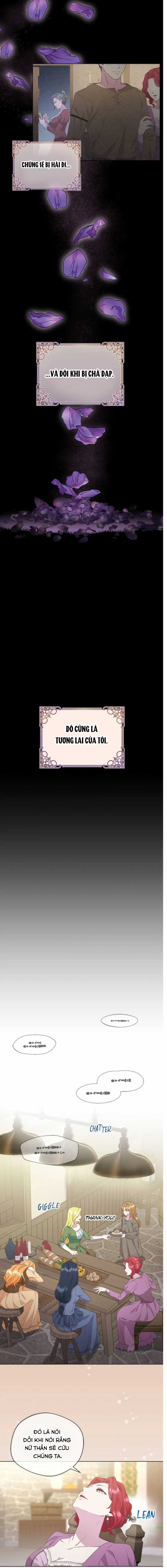 Đoá Violet nở rộ phía sau vườn Chapter 1 trang 11