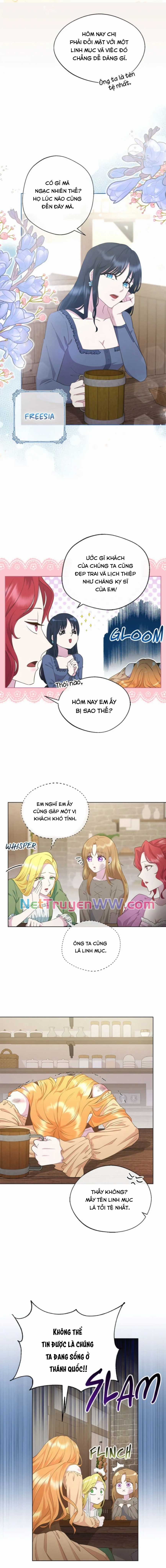 Đoá Violet nở rộ phía sau vườn Chapter 1 trang 12