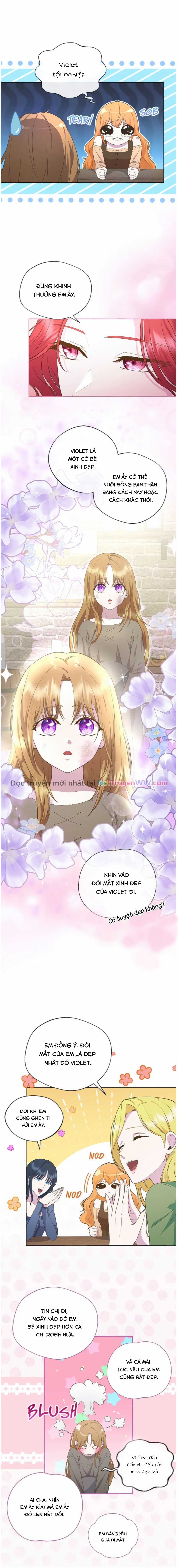 Đoá Violet nở rộ phía sau vườn Chapter 1 trang 14