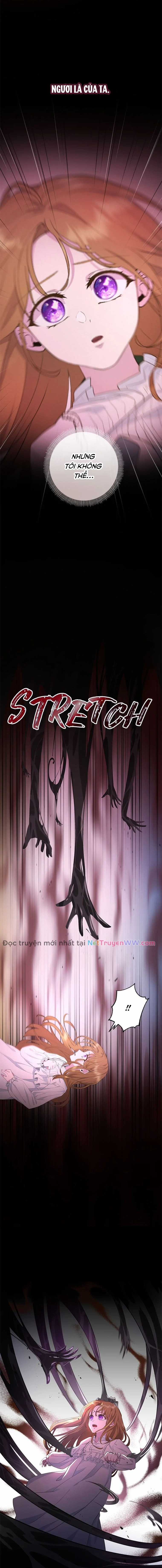 Đoá Violet nở rộ phía sau vườn Chapter 1 trang 2