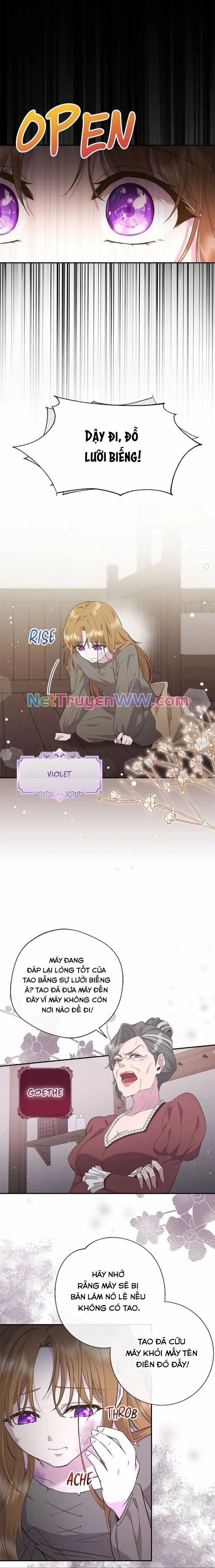 Đoá Violet nở rộ phía sau vườn Chapter 1 trang 4