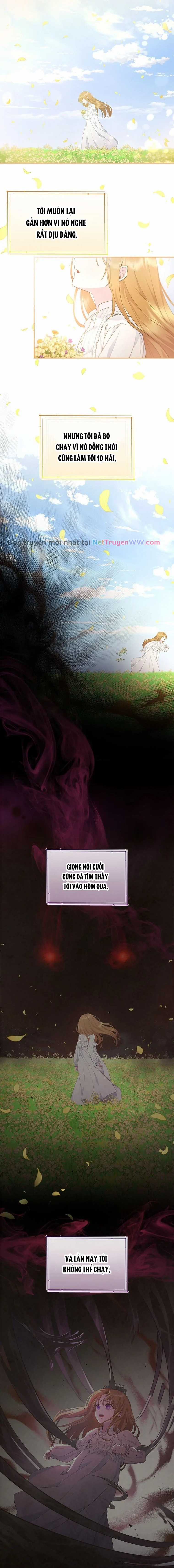 Đoá Violet nở rộ phía sau vườn Chapter 1 trang 6