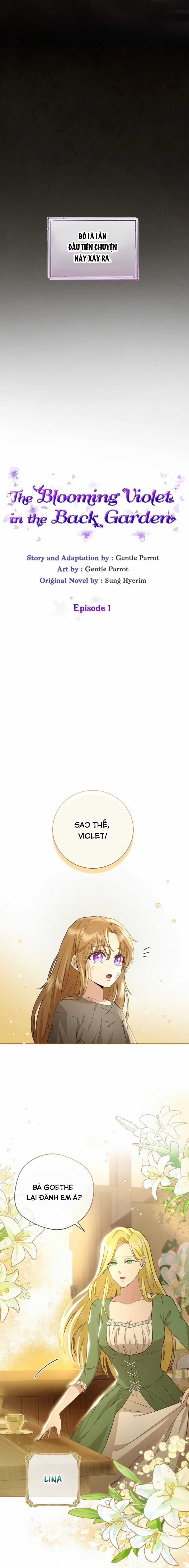 Đoá Violet nở rộ phía sau vườn Chapter 1 trang 7