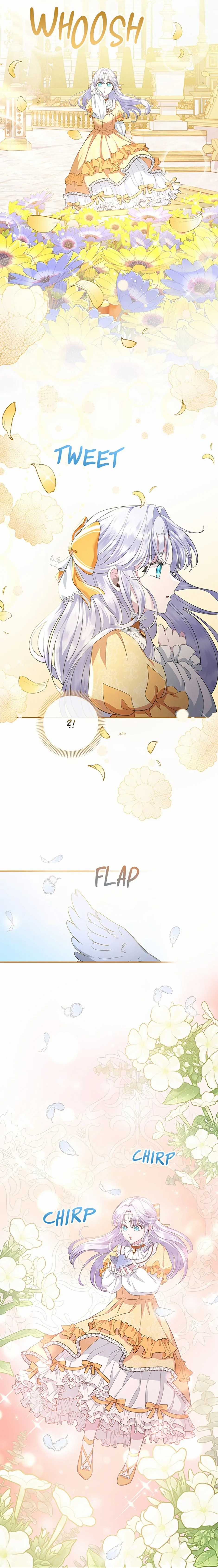 Đoá Violet nở rộ phía sau vườn Chapter 10 trang 10