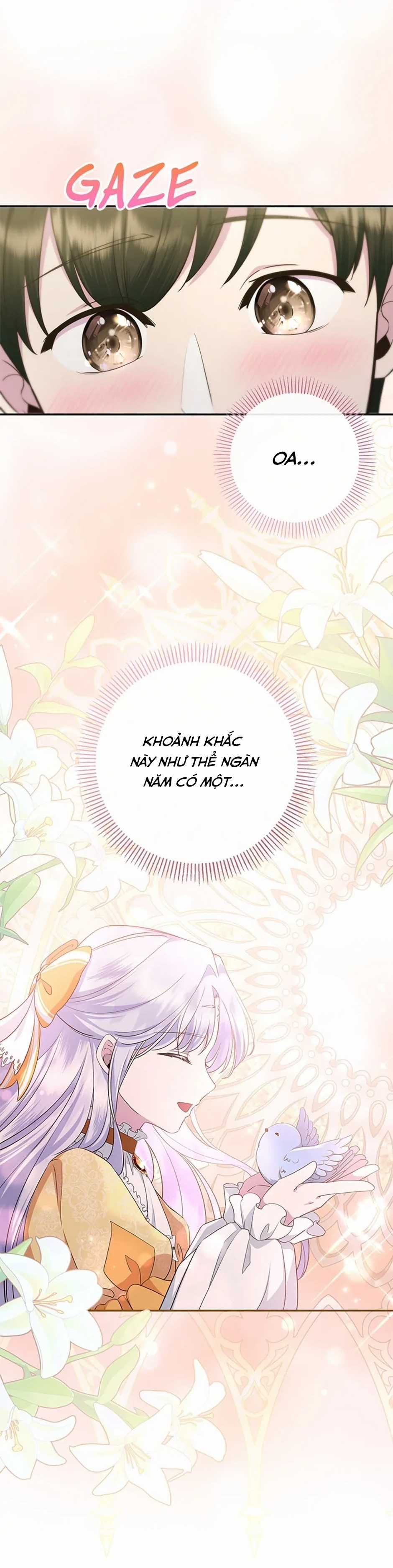 Đoá Violet nở rộ phía sau vườn Chapter 10 trang 12